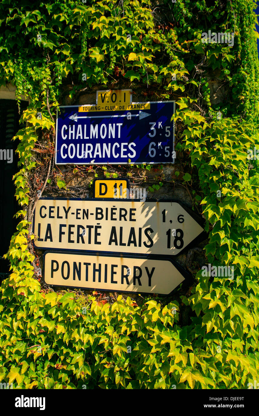 Segnaletica stradale francese contro un muro rivestito di edera. Foto Stock