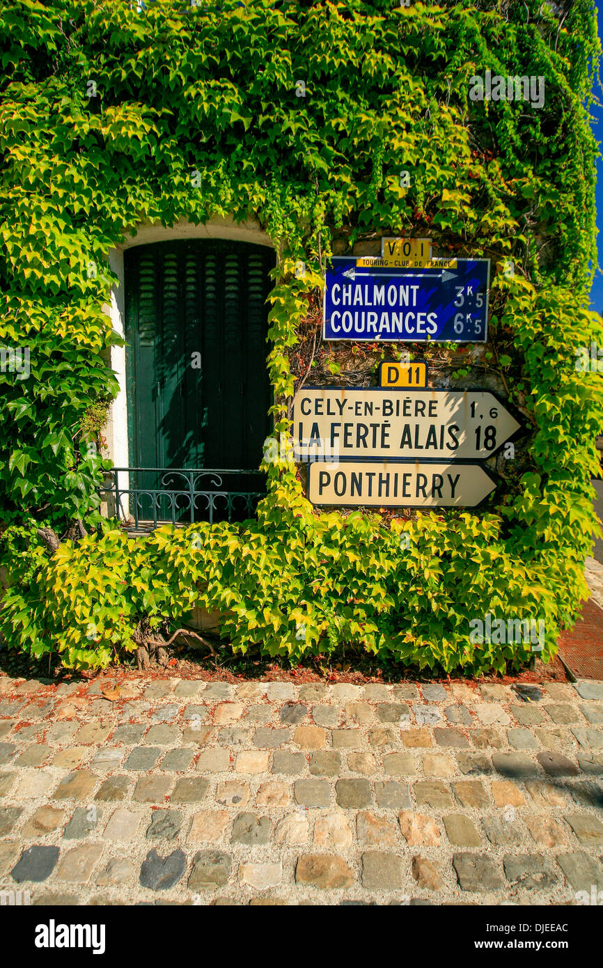 Segnaletica stradale francese contro un muro rivestito di edera. Foto Stock