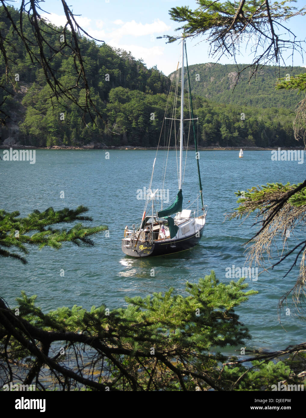 Un nero in barca a vela ancorata alla valle Cove nel fiordo di suono Somes, Maine, Stati Uniti d'America. Foto Stock
