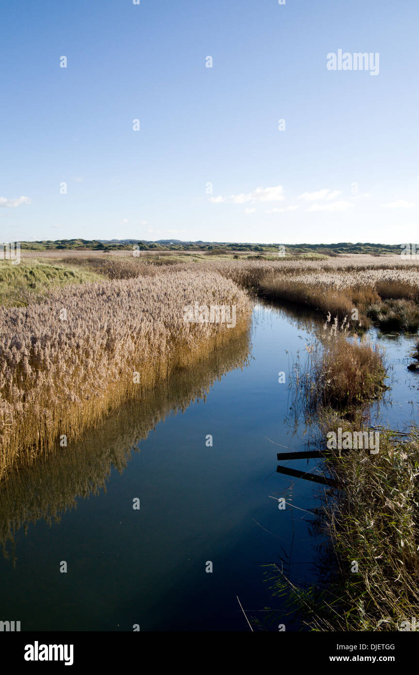 Fiume Kenfig e canneti, Kenfig Riserva Naturale Nazionale vicino a Port Talbot, Galles del Sud. Foto Stock