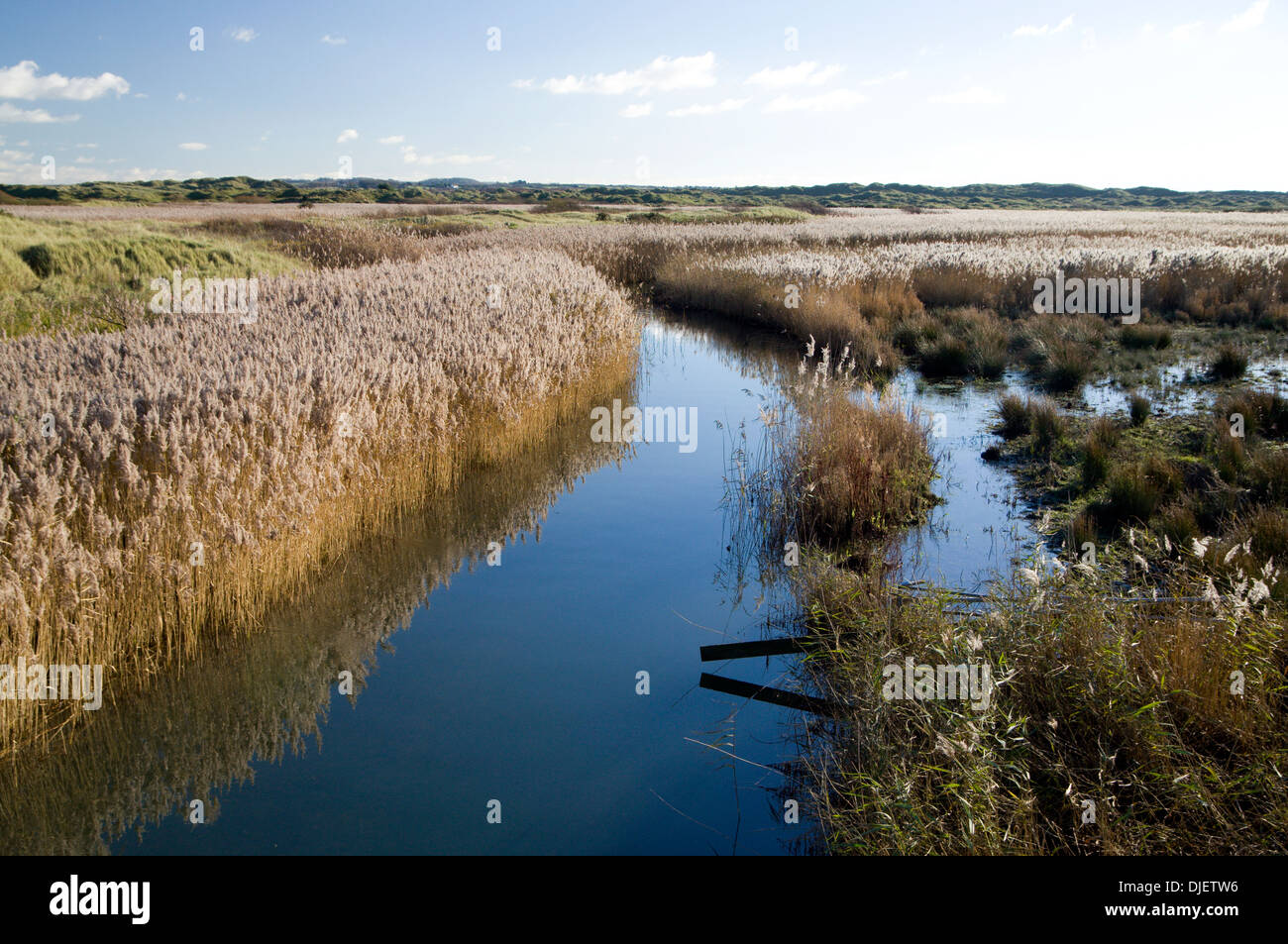 Fiume Kenfig e canneti, Kenfig Riserva Naturale Nazionale vicino a Port Talbot, Galles del Sud. Foto Stock