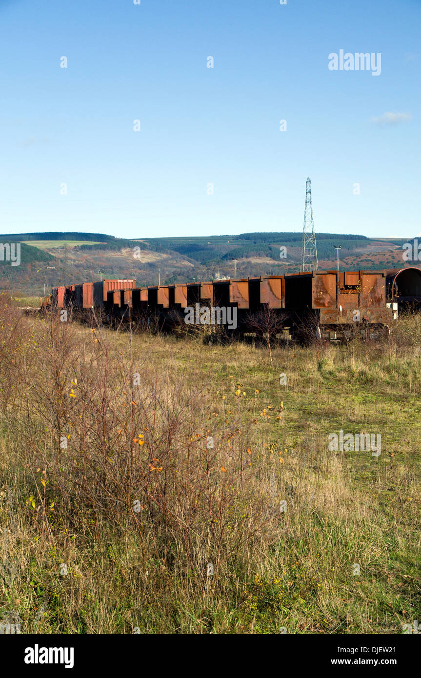 Vecchio arrugginito carrelli ferroviari in rivestimenti, Margam Moor, Port Talbot, nel Galles del Sud. Foto Stock