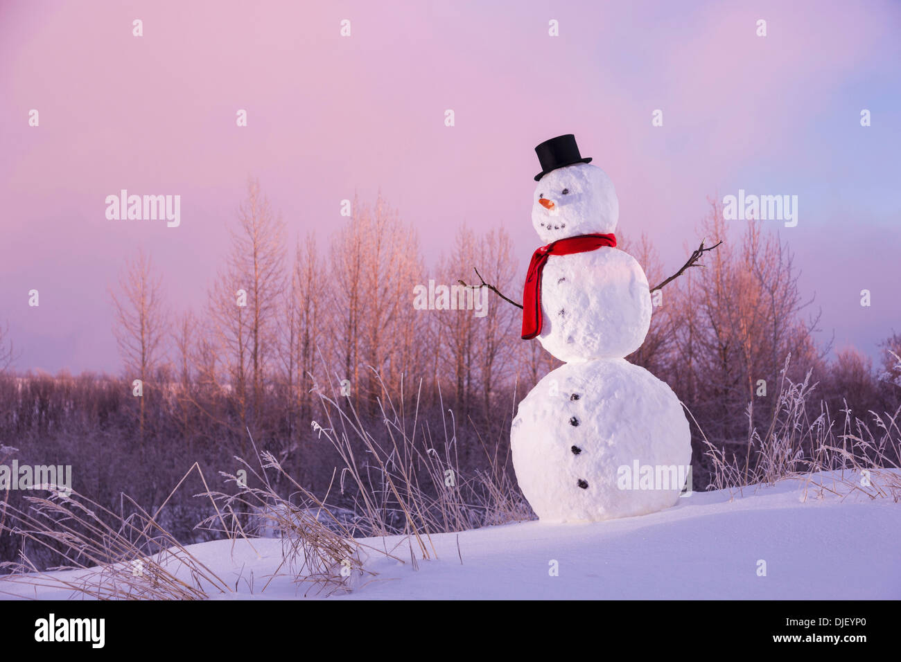 Pupazzo di neve in campo indossando un tubo da stufa di Black Hat e sciarpa rossa;Anchorage in Alaska Stati Uniti d'America Foto Stock