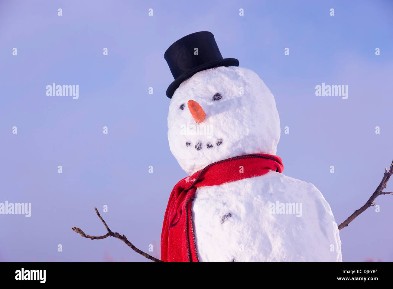 Pupazzo di neve in campo indossando un tubo da stufa di Black Hat e sciarpa rossa;Anchorage in Alaska Stati Uniti d'America Foto Stock