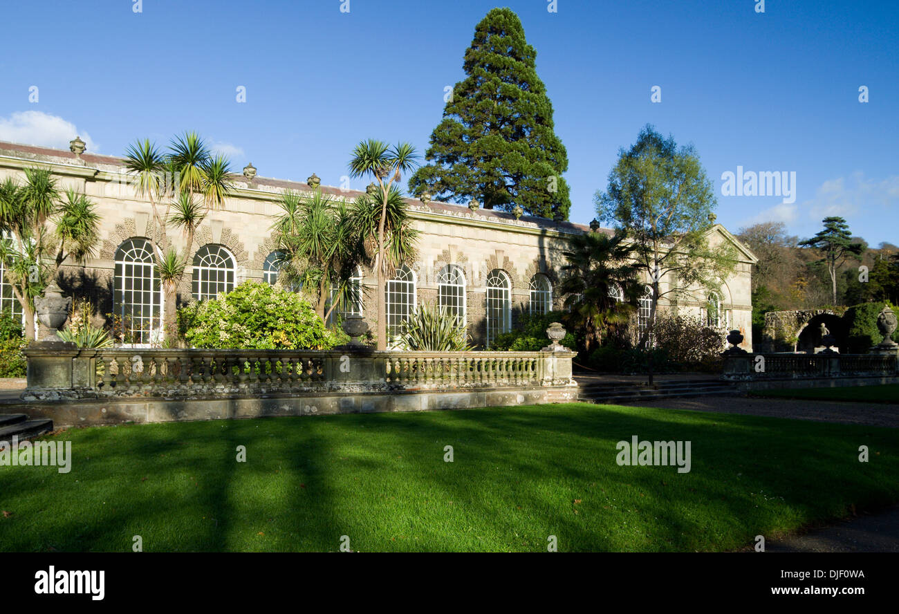 Aranciera, Margam Manor, Port Talbot, nel Galles del Sud. Foto Stock