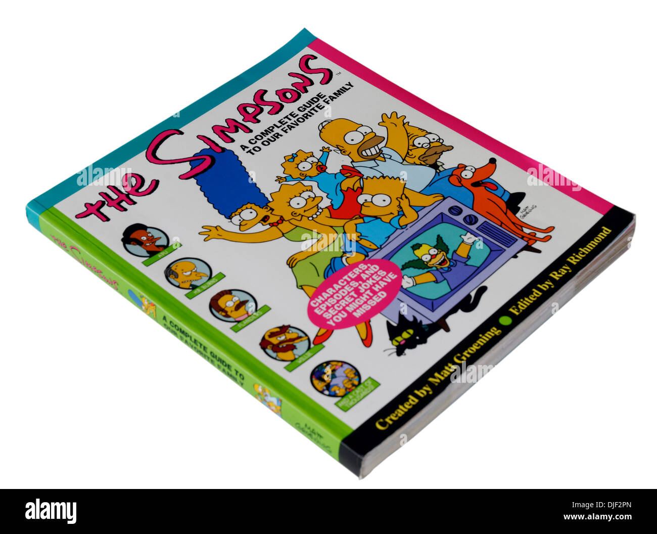 I Simpson - Il libro Foto Stock