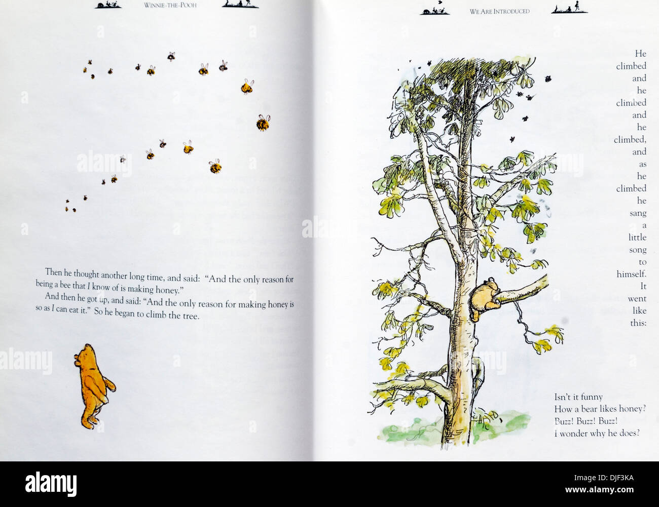 La splendida EH Shepard versione illustrata di Winnie the Pooh da AA Milne Foto Stock