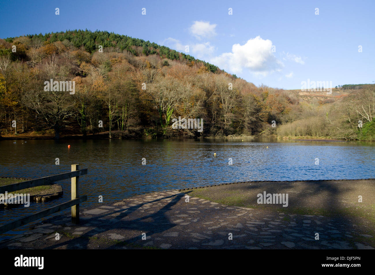 Il lago, Margam Manor Country Park, Port Talbot, nel Galles del Sud. Foto Stock