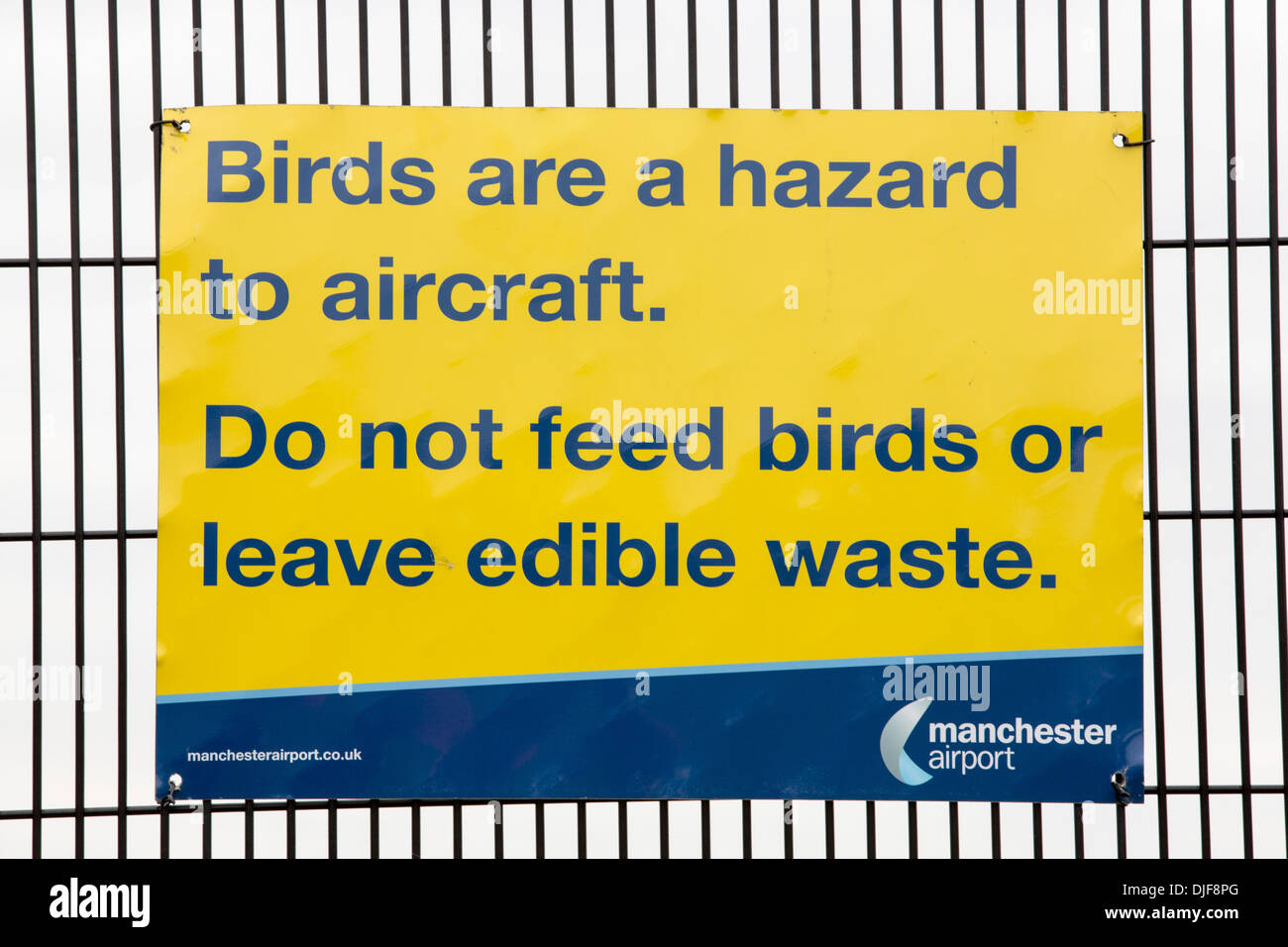 Indicazioni circa il bird scioperi su la recinzione di sicurezza all'Aeroporto di Manchester, UK. Foto Stock