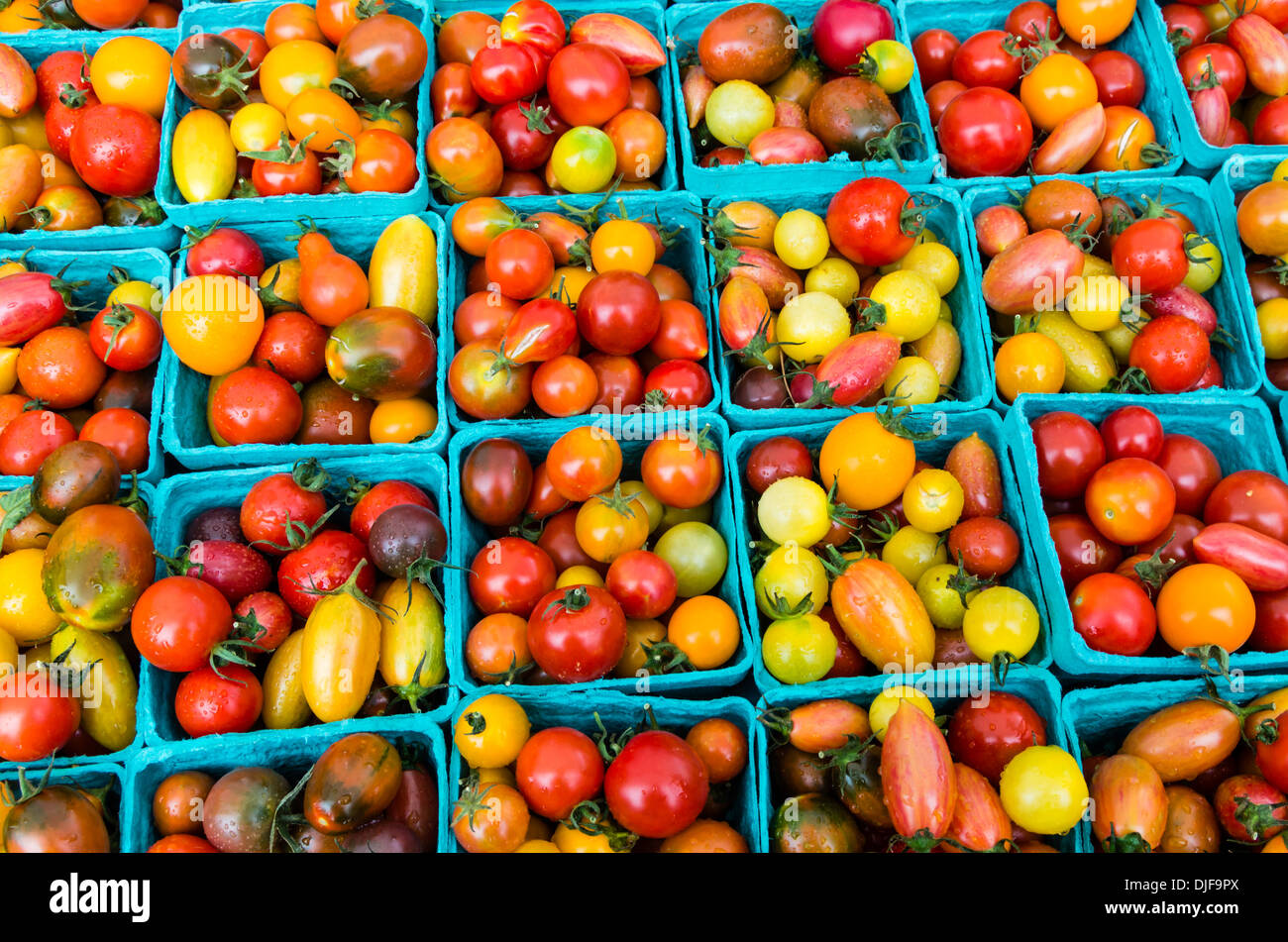 Cimelio di pomodori piccoli sul display presso il mercato degli agricoltori Foto Stock