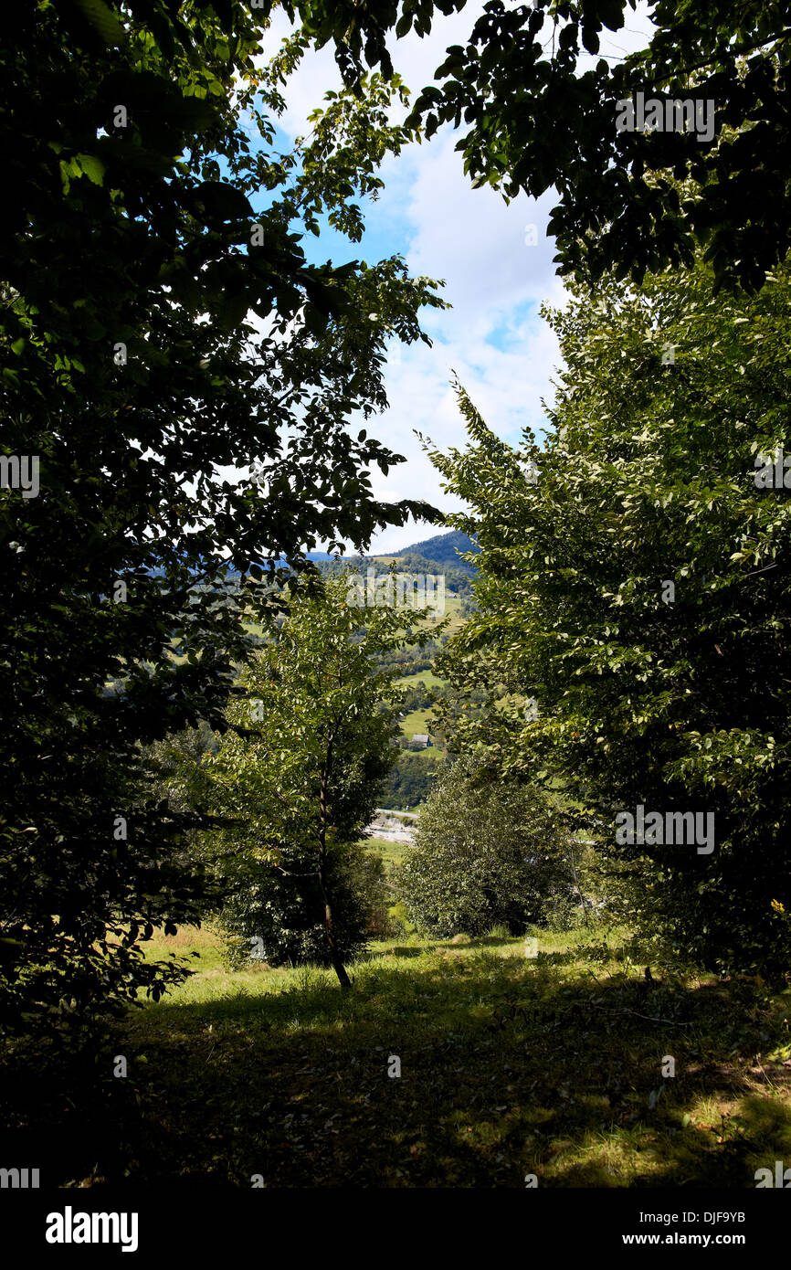 Estate in montagna Foto Stock
