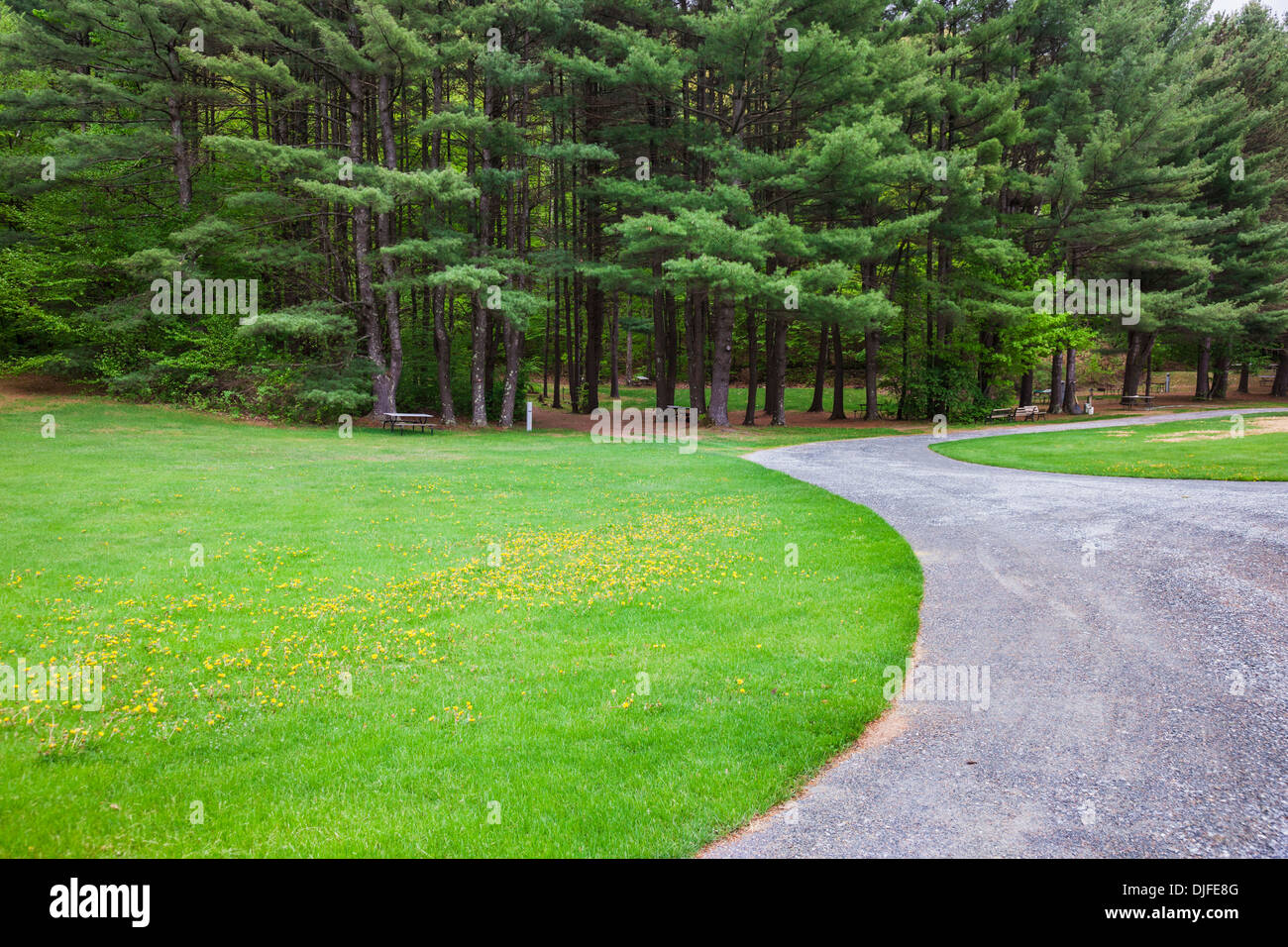 Strada panoramica e motivi della cava di Pino campeggio; Pownal, Vermont, Stati Uniti d'America Foto Stock