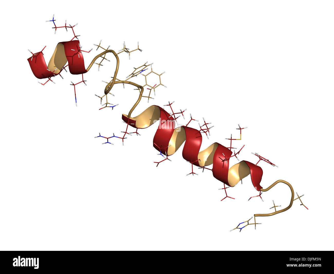 Sindrome dell'intestino corto immagini e fotografie stock ad alta ...