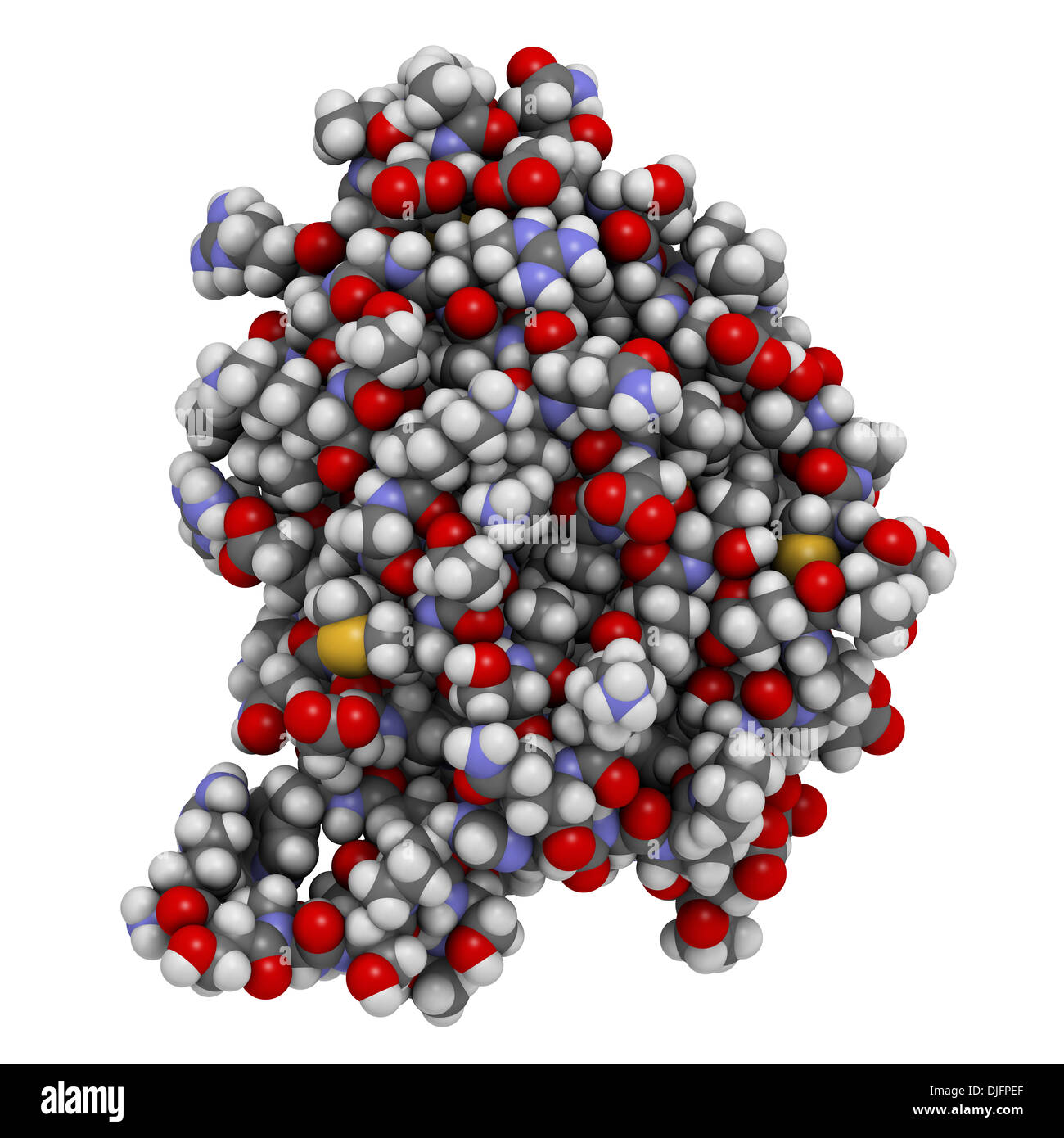 Granulocita-colonia macrofago-fattore stimolante (GM-CSF, molgramostim, sargramostim molecola). Globuli bianchi il fattore di crescita. Foto Stock