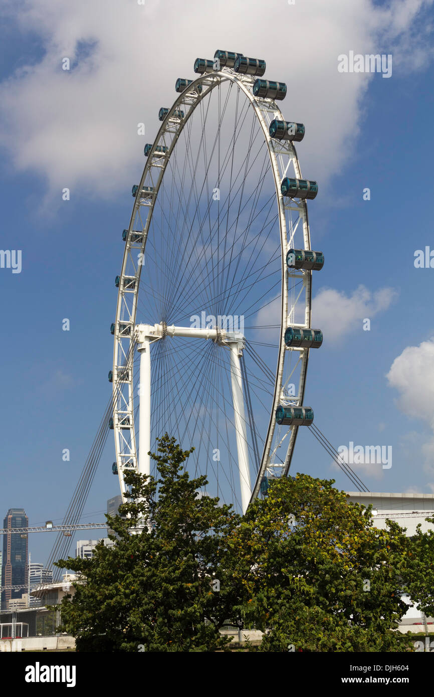 La ruota di Singapore Flyer con un numero di alberi in corrispondenza della base e il bianco delle nuvole nel cielo, in background Foto Stock