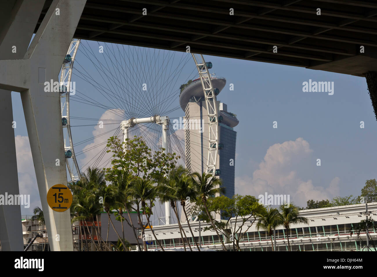 Benjamin Sheares Bridge con Singapore Flyer e Marina Bay Sands visto sotto la campata del ponte e con alberi Foto Stock