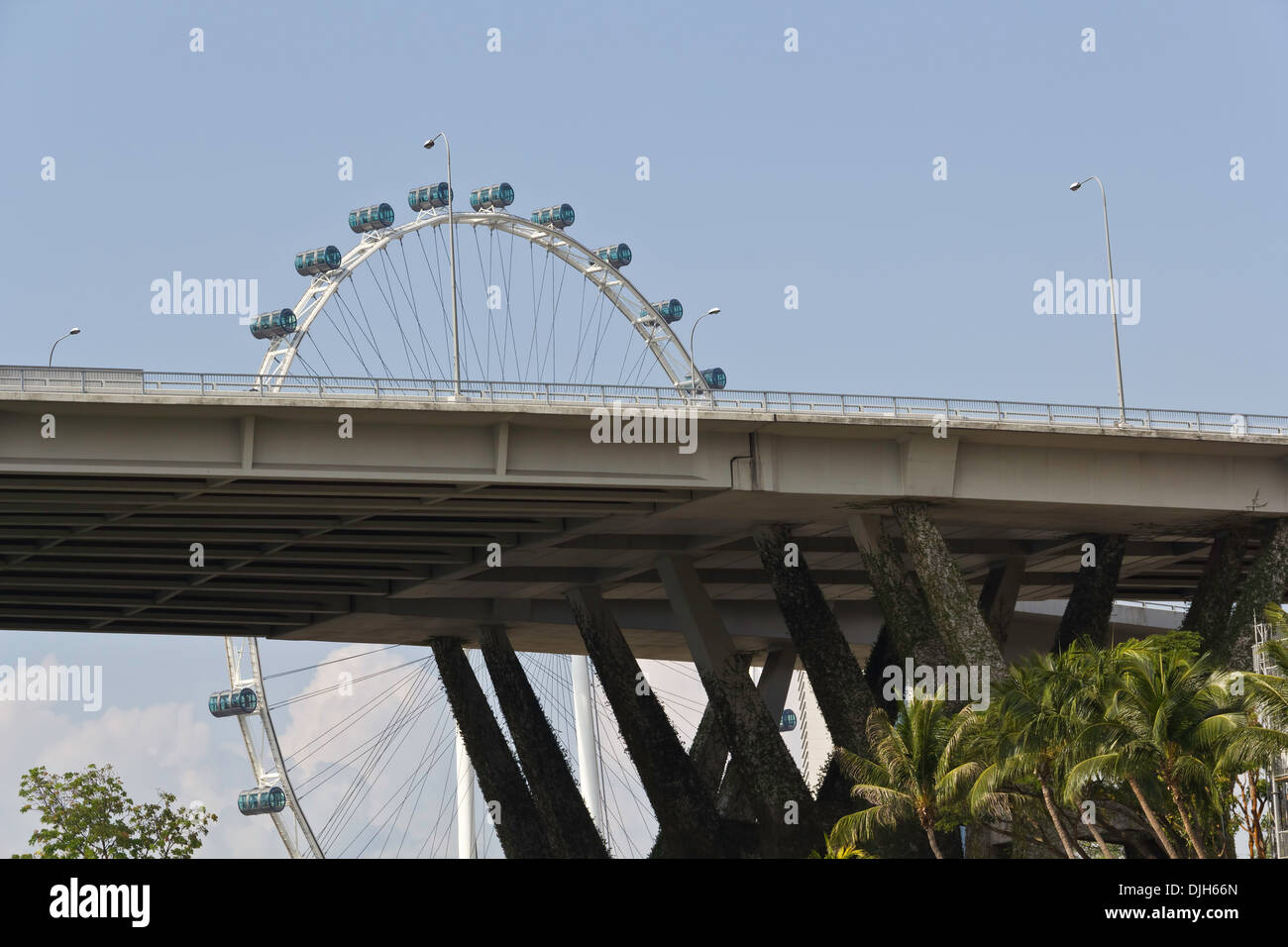 Span del Benjamin Sheares Bridge e il Singapore Flyer, con il Flyer dietro il ponte e liane su pilastri del ponte Foto Stock