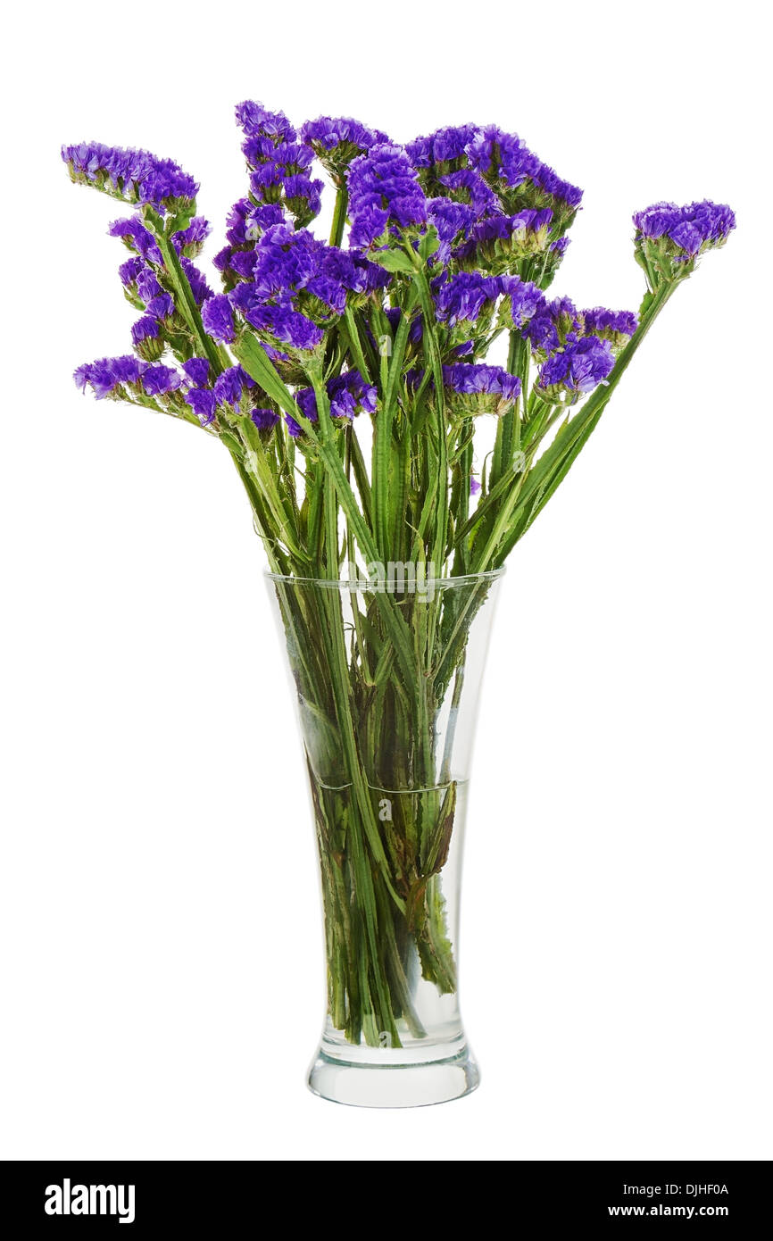 Bouquet di fiori statice disposizione centrotavola in vaso isolato su sfondo bianco. Primo piano. Foto Stock