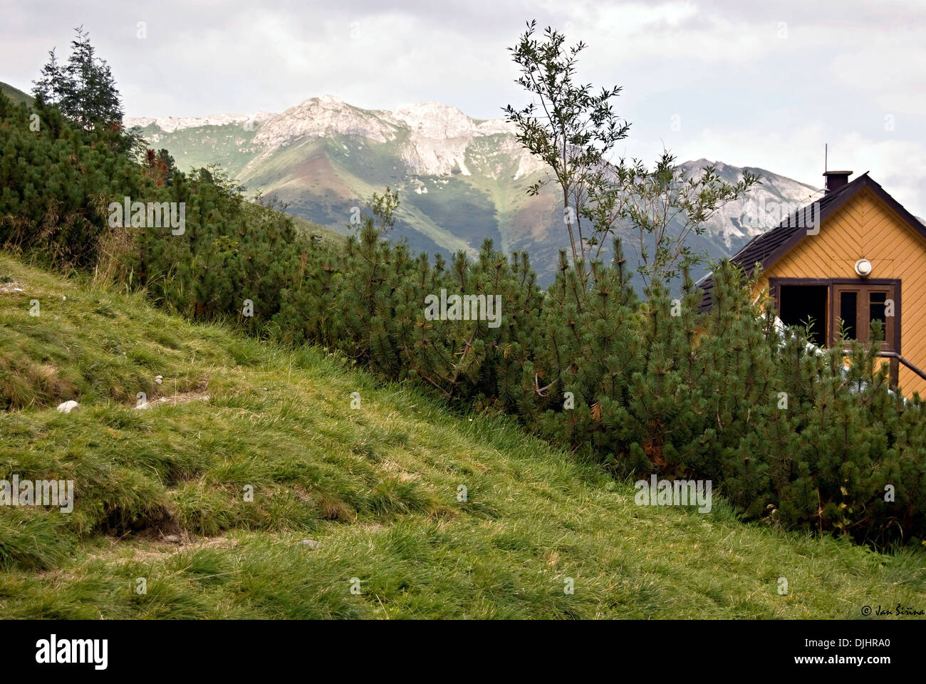 Belianske Tatry dai dintorni di Chata pri Zelenom prego in Alti Tatra in Slovacchia Foto Stock