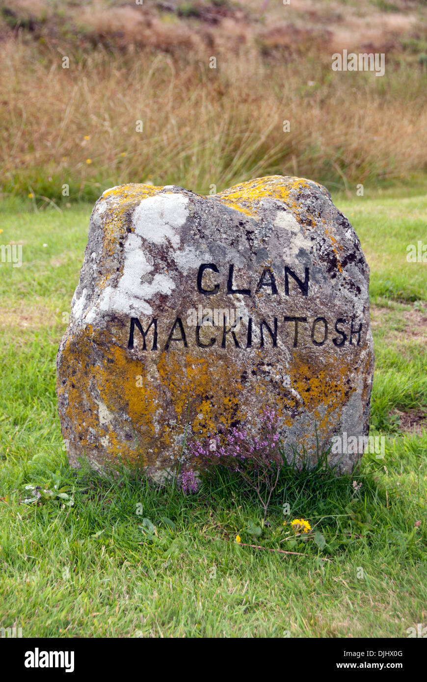 Scozia - Gli altipiani; il campo di battaglia di Culloden; memoriale al clan MACKINTOSH Foto Stock