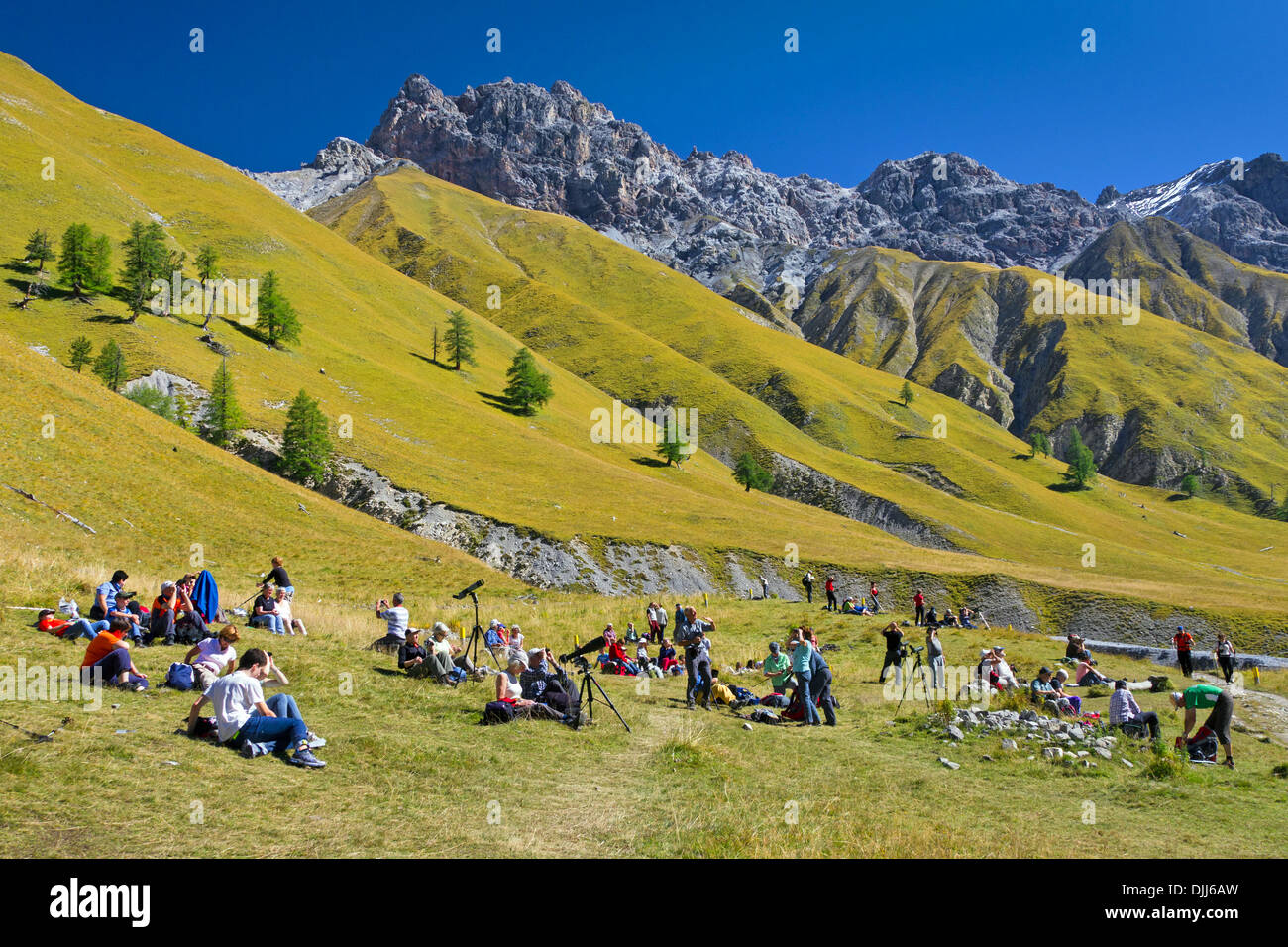 I turisti in appoggio nella valle di montagna Val Trupchun, Parco Nazionale Svizzero a Graubünden / Grisons nelle Alpi, Svizzera Foto Stock