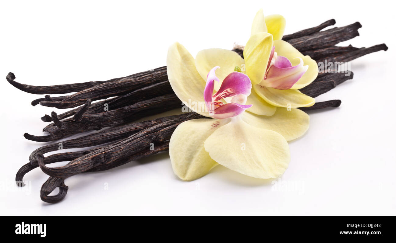 Bastoncini di vaniglia con un fiore su uno sfondo bianco. Foto Stock
