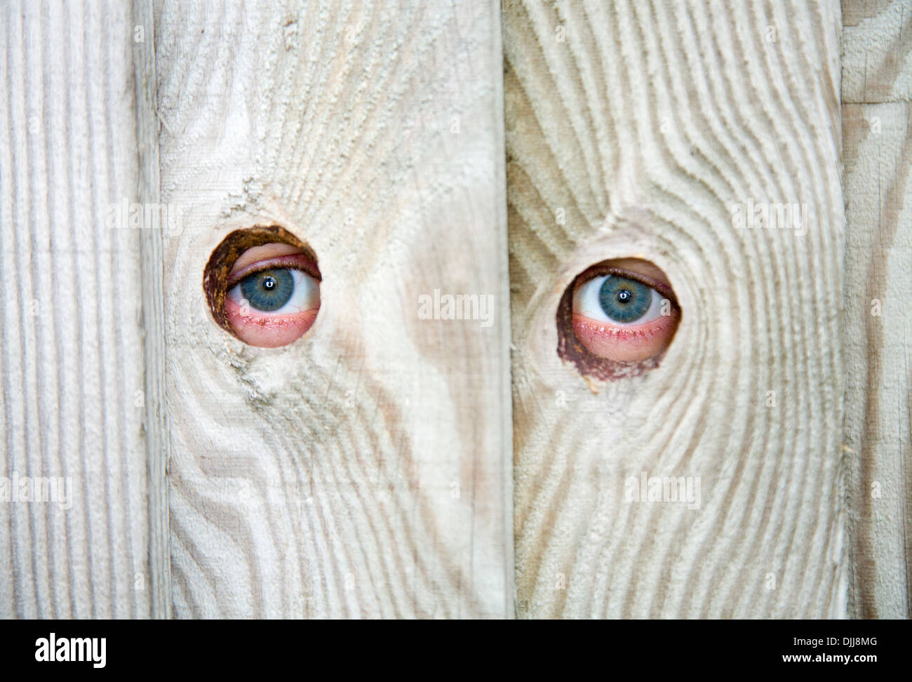 Occhio / occhi di un prossimo nosey / prossimo peeping / spiare attraverso il buco spia / fori in un giardino recinto. Foto Stock