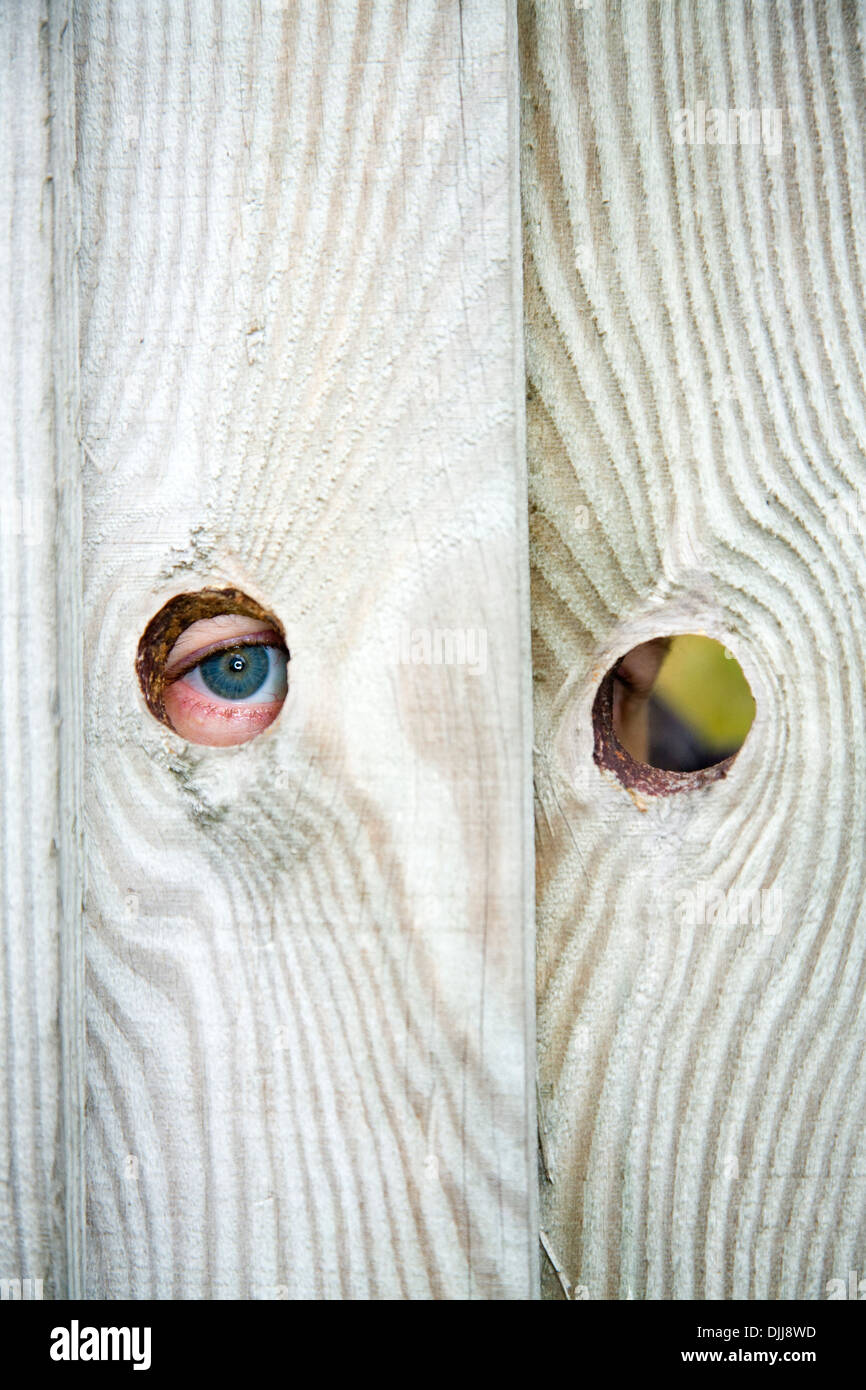 Occhio / occhi di un prossimo nosey / prossimo peeping / spiare attraverso il buco spia / fori in un giardino recinto. Foto Stock