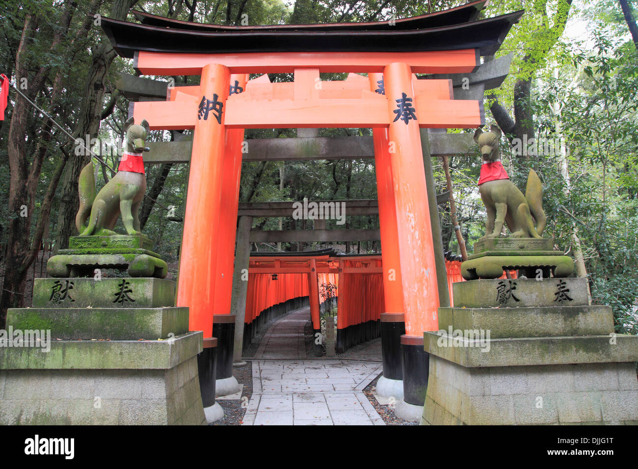 Giappone, Kyoto Fushimi Inari Taisha, torii gates, Foto Stock