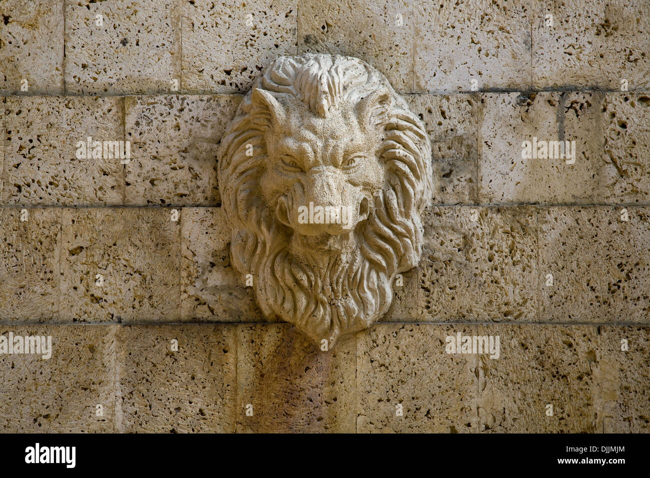 Testa leone dettaglio Cartagena, Colombia Foto Stock