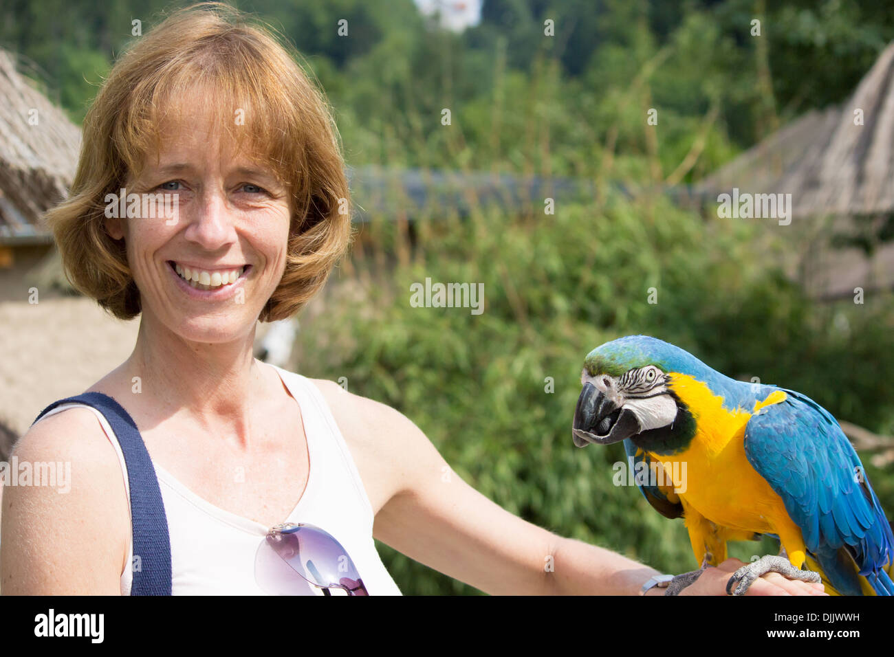 Donna con blu-giallo-macaw sul suo braccio Foto Stock