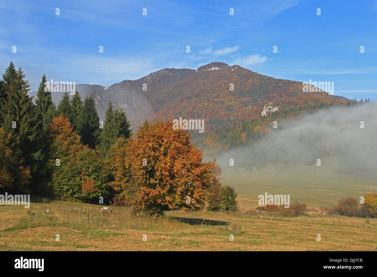 Vista della montagna da Sip Zaskovske sedlo con nuvole di nebbia al di sopra di motivi, NP Velka Fatra, Slovacchia. Foto Stock