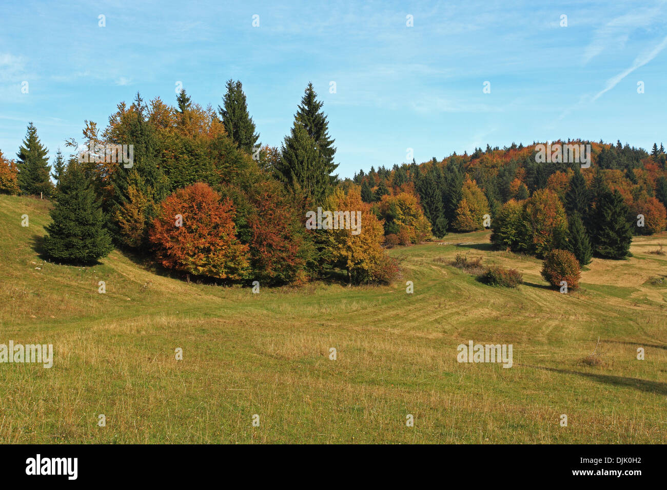 Paesaggio vicino Zaskovske sedlo, NP Velka Fatra, Slovacchia. Foto Stock