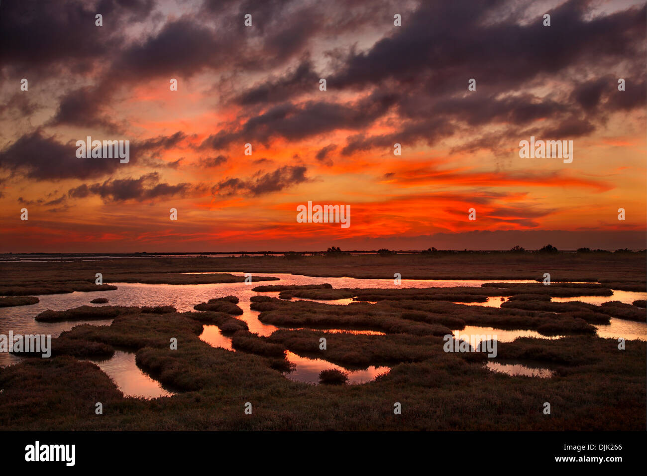 Tramonto al delta del fiume Evros, Tracia (Tracia), in Grecia. Foto Stock