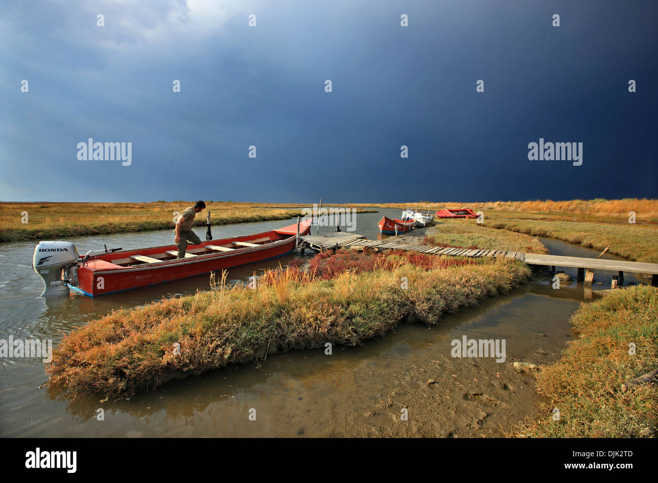 Escursione in barca nel Delta del fiume Evros, Tracia (Tracia), in Grecia. Foto Stock