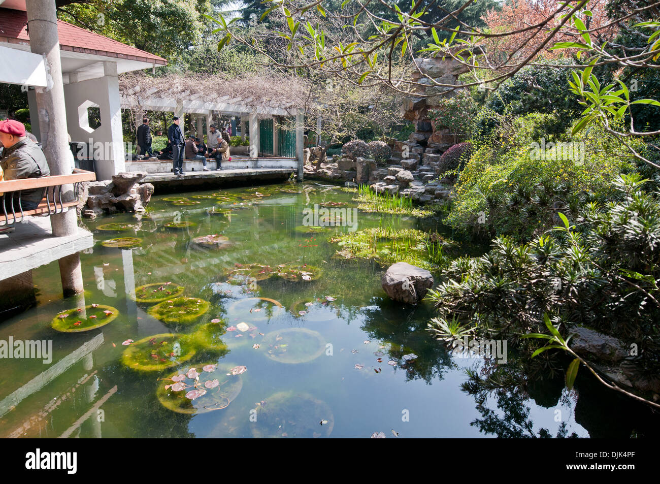 Del popolo nel Parco di Huangpu District del centro di Shanghai, Cina Foto Stock