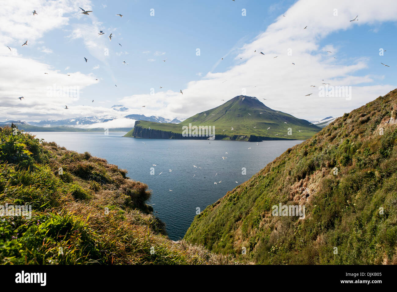 Palizzata scogliere e picco di Sentinel da Sankin Isola, Ikatan Bay, isole Aleutian, Southwest Alaska, Estate. Foto Stock