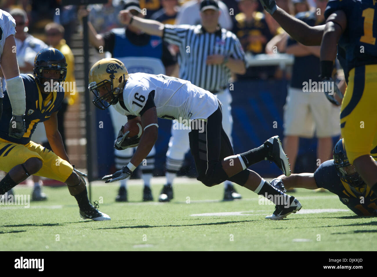 Sett. 11, 2010 - Berkeley, California, Stati Uniti d'America - Colorado WR sarà Jefferson (16) viene attivato fino alla linea durante il gioco NCAA tra la California Golden Bears e la University of Colorado Buffaloes presso il Memorial Stadium. Cal instradato Colorado 52-7. (Credito Immagine: © Matt Cohen/Southcreek globale/ZUMApress.com) Foto Stock