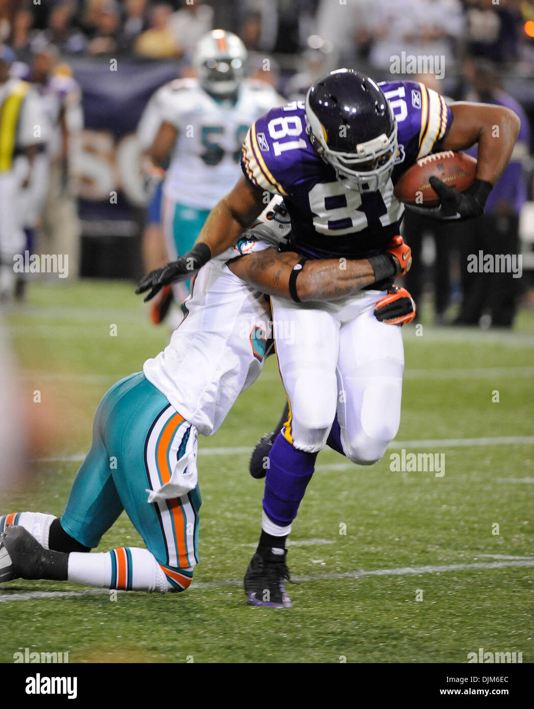 Sett. 19, 2010 - Minneapolis, Minnesota, Stati Uniti d'America - Minnesota Vikings manualmente l'estremità Visanthe Shiancoe #81 giunchi per 18 metri contro i delfini di Miami nel secondo trimestre. I Delfini sconfitti i vichinghi 14-10 al Mall of America campo. (Credito Immagine: © Marilyn Indahl/Southcreek globale/ZUMApress.com) Foto Stock