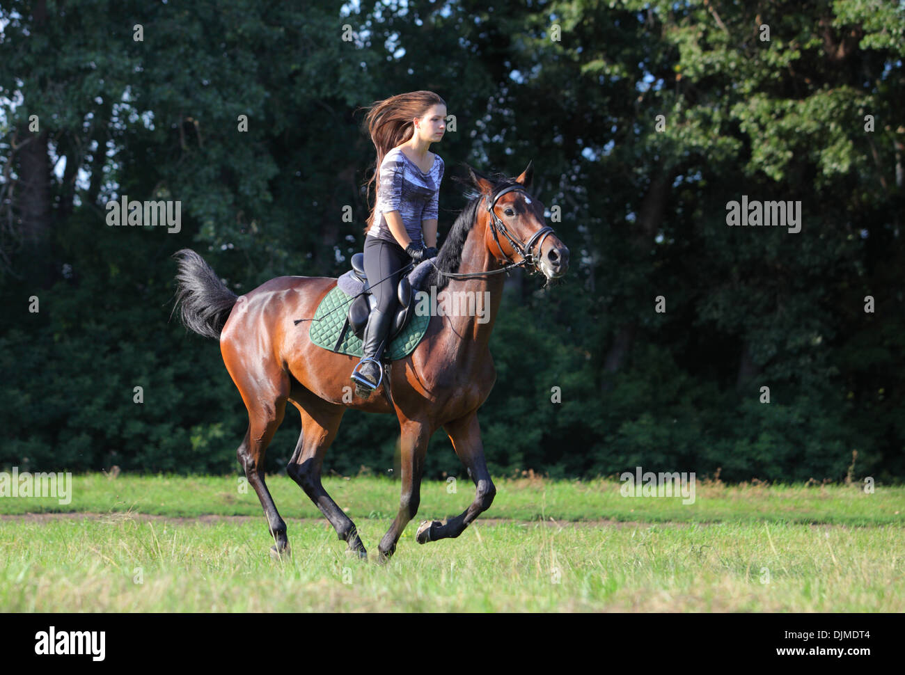 Allegro ragazza e il suo cavallo al galoppo Foto Stock