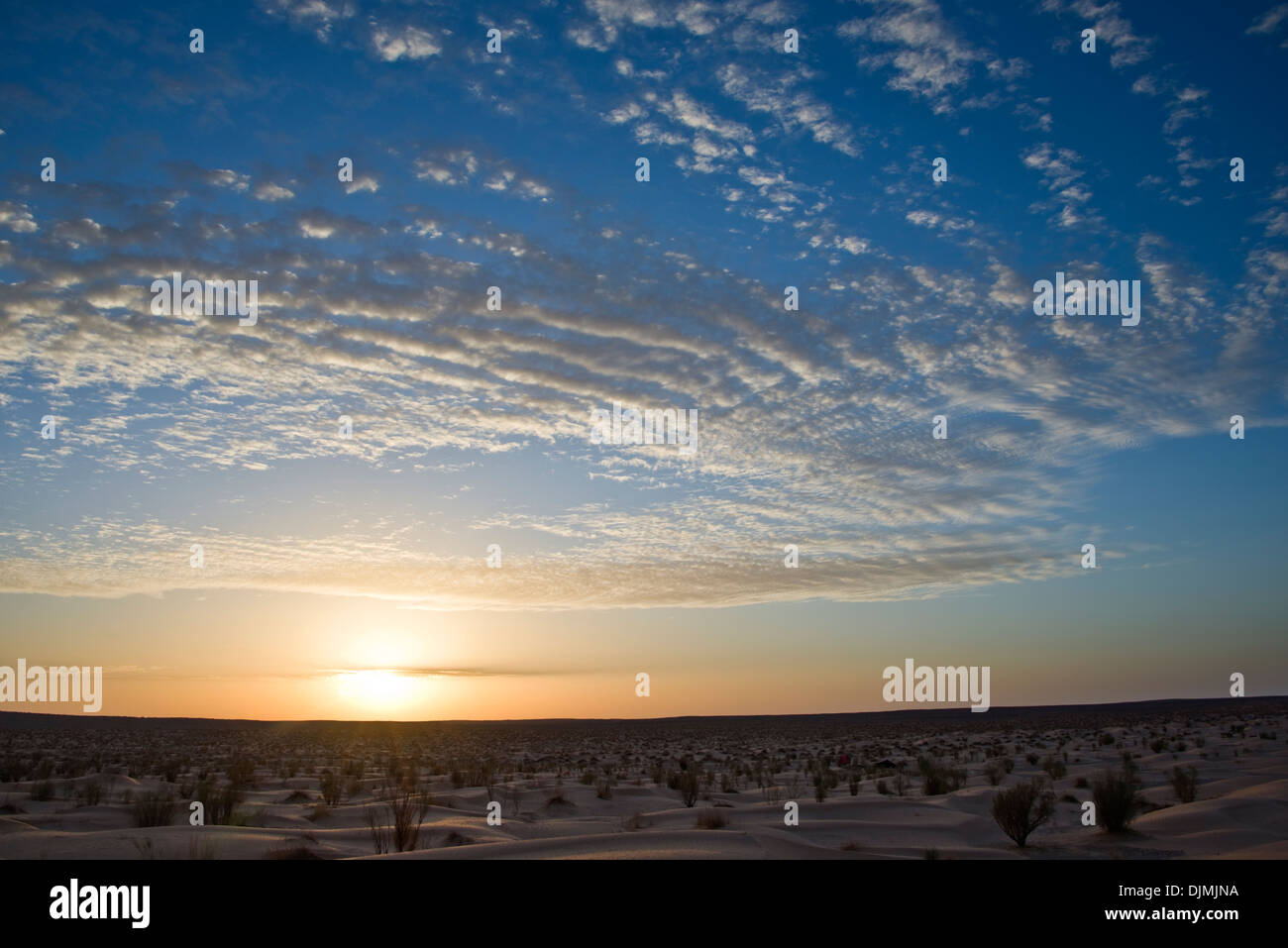 Tramonto nel deserto - Grande Erg Orientale del deserto del Sahara - Tunisia Foto Stock