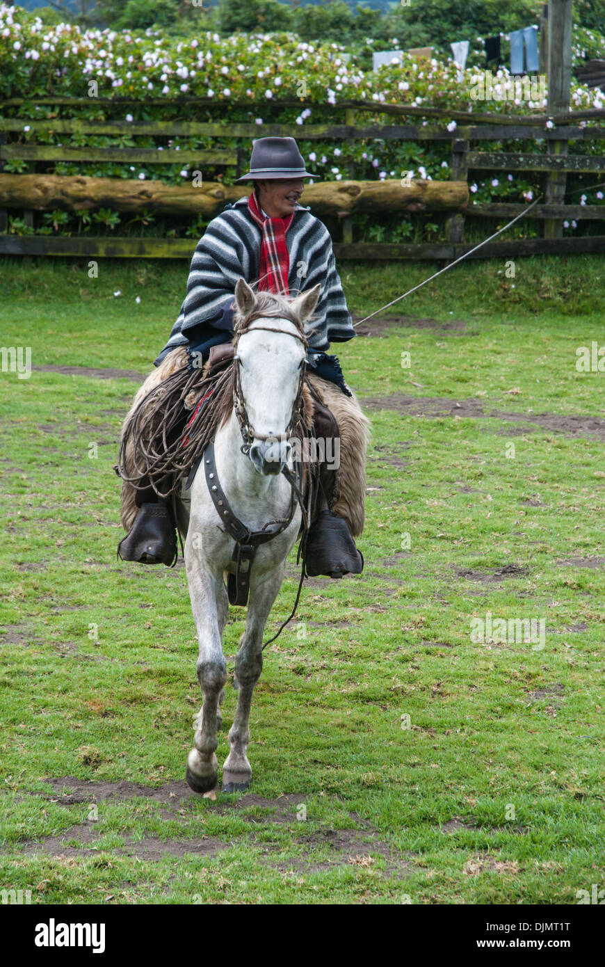 Un Chagra, a sud di un cowboy americano in costume tradizionale in sella ad un cavallo in un ranch ecuadoriana Foto Stock