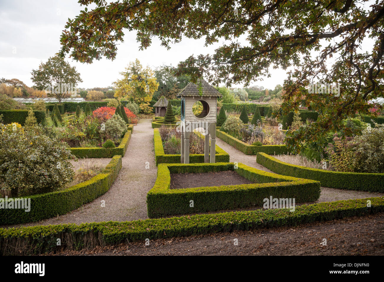 Siepi di bosso e Yew alberi in giardini presso il vivaio Bridgemere e Mondo Giardino Cheshire England Regno Unito Foto Stock