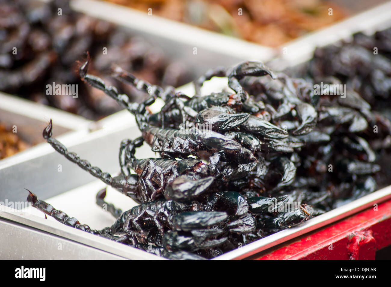 Fritti di bug in offerta in un mercato di strada a Bangkok, in Thailandia. Scarafaggi, pasto di vermi e scorpioni. Foto Stock