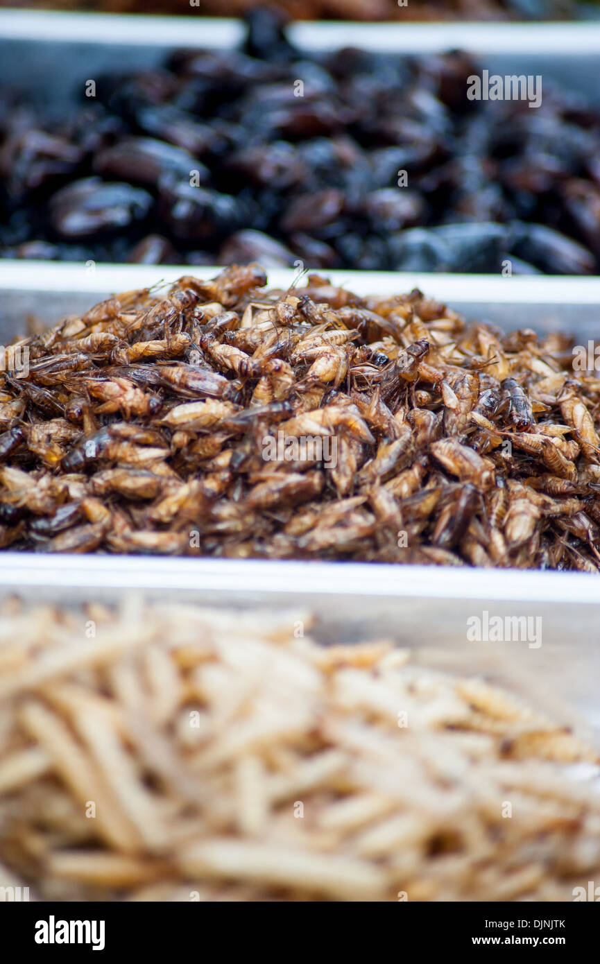 Fritti di bug in offerta in un mercato di strada a Bangkok, in Thailandia. Scarafaggi, pasto di vermi e scorpioni. Foto Stock