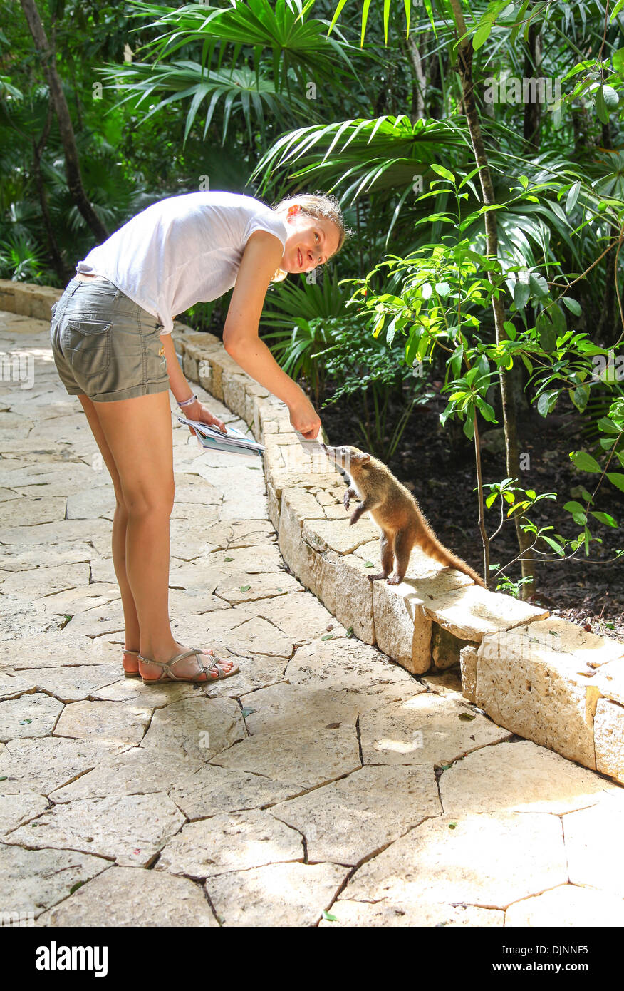 Una giovane ragazza alimentare un coati a 5 stelle hotel Catalonia Royal tulum riviera maya Cancun Penisola dello Yucatan Messico America del Nord Foto Stock