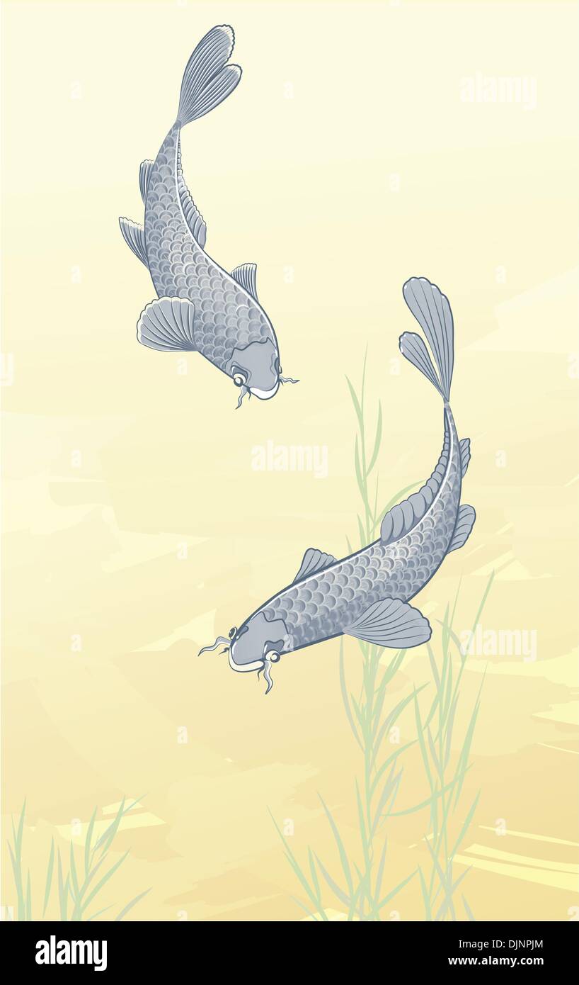 Illustrazione Vettoriale di due carpe schizzi in acqua e nuotare intorno in un stagno. Illustrazione Vettoriale