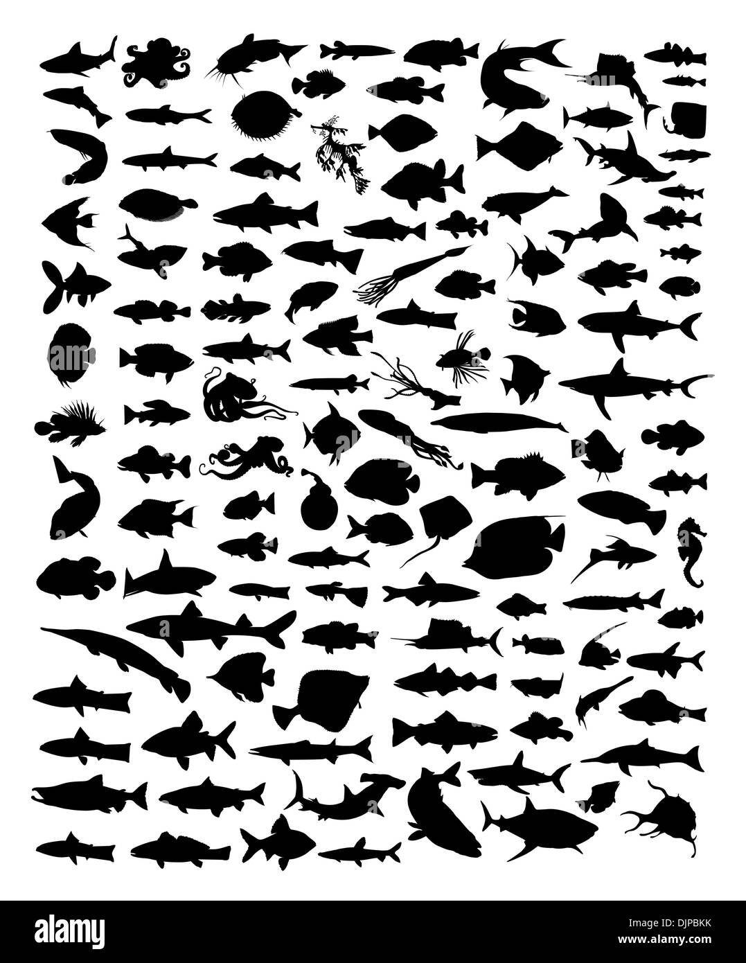 Silhouette di pesce Illustrazione Vettoriale