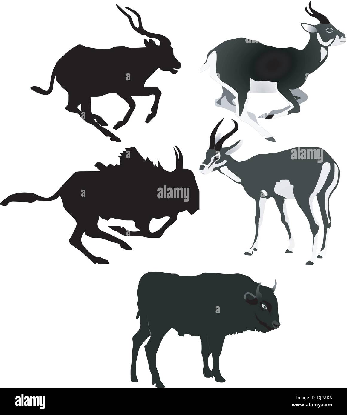 Raccolta di immagini di vettore di antilopi Illustrazione Vettoriale