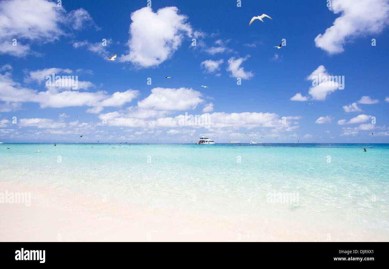 Bella sabbia bianca e acqua cristallina in una giornata di sole a Michaelmas Cay, della Grande Barriera Corallina, Australia Foto Stock